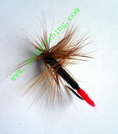 Flying insect 157