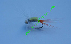 Flying insect f321