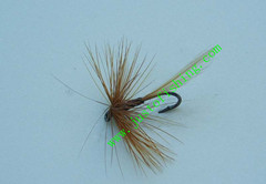 Flying insect f309