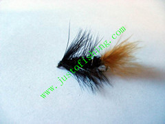 Flying insect f546
