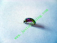 Flying insect f552
