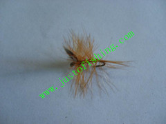 Flying insect f691