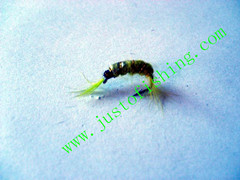 Flying insect f573