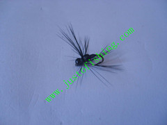 Flying insect f577